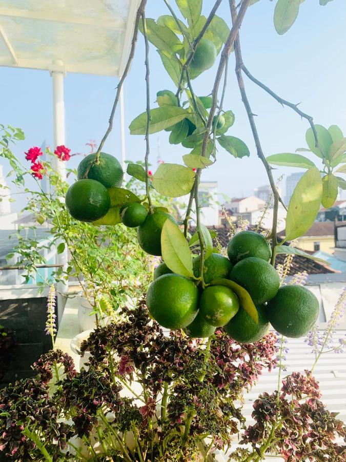 Nana Homestay & Villa Хюе Екстер'єр фото